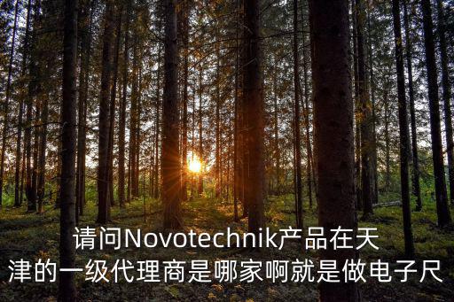 請問Novotechnik產品在天津的一級代理商是哪家啊就是做電子尺
