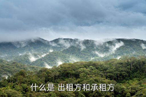 出租方,律師:出租甲方是原則上應是租賃物所有權人