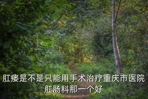肛瘺是不是只能用手術(shù)治療重慶市醫(yī)院肛腸科那一個好