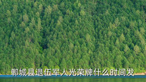 鄲城縣退伍軍人光榮牌什么時間發