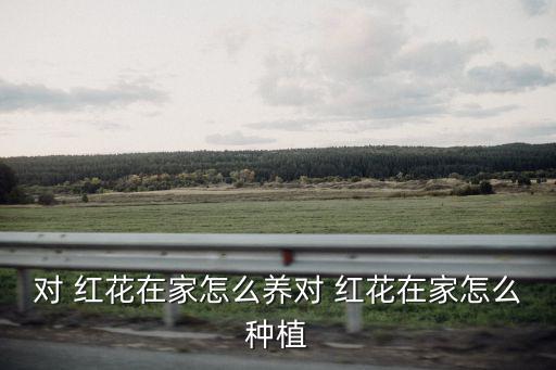 對紅花,盆栽對紅花需要土壤與沙子混合