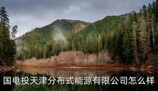 國電投天津分布式能源有限公司怎么樣