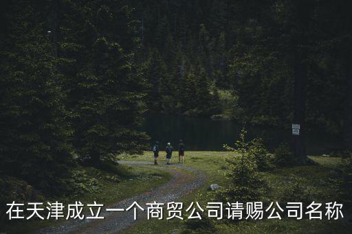 在天津成立一個商貿(mào)公司請賜公司名稱