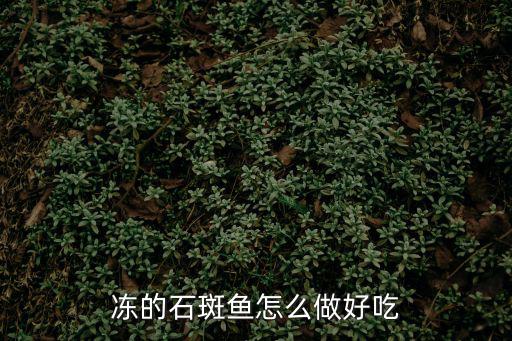 凍的石斑魚怎么做好吃