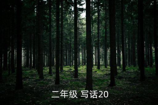 寫話大全二年級,小烏龜龜殼縮進盾牌里龜殼最厲害!