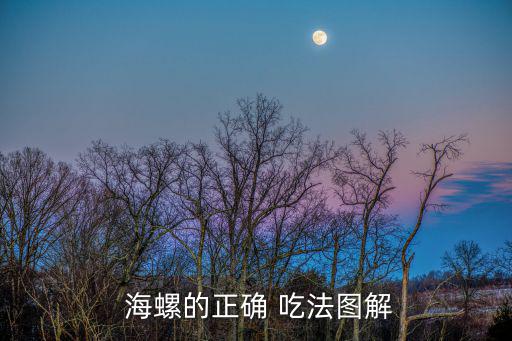 海螺的正確 吃法圖解