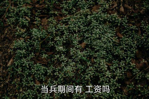  當兵期間有 工資嗎