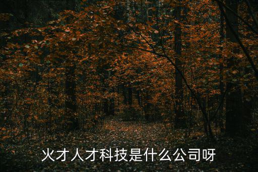 成都市火科技，成都火才人才科技有限公司到底是做什么的