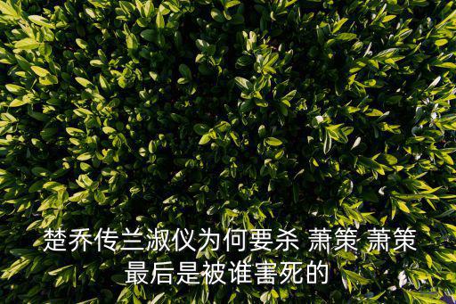  楚喬傳蘭淑儀為何要殺 蕭策 蕭策最后是被誰害死的