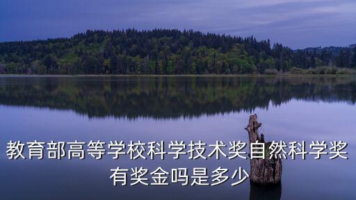 教育部高等學校科學技術獎自然科學獎 有獎金嗎是多少