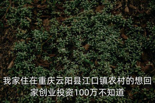 我家住在重慶云陽縣江口鎮農村的想回家創業投資100萬不知道