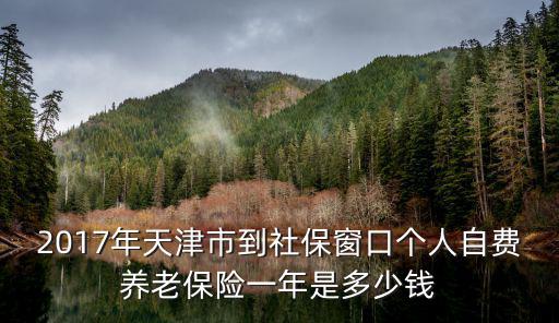 2017年天津市個人繳納社保，天津2017年5月社保個人工資扣個人多少錢