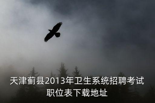天津薊縣2013年衛生系統招聘考試職位表下載地址