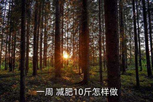  一周 減肥10斤怎樣做