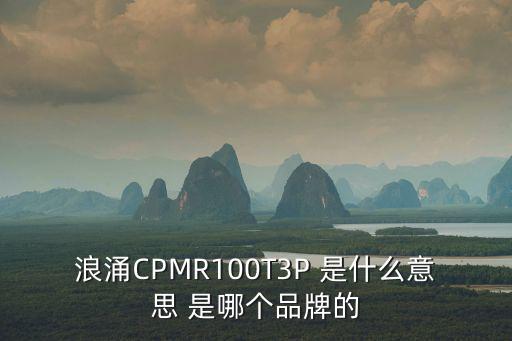 天津市中潔鑫誠濾材科技有限公司，浪涌CPMR100T3P 是什么意思 是哪個品牌的