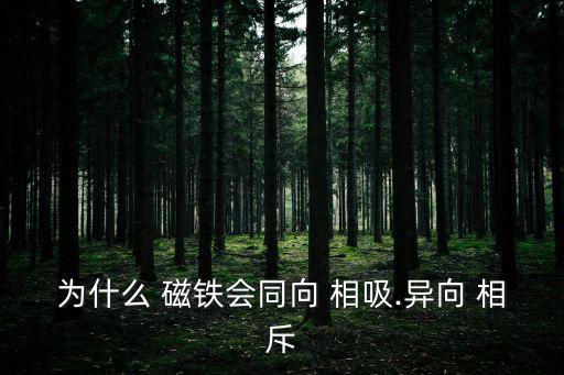 為什么 磁鐵會(huì)同向 相吸.異向 相斥