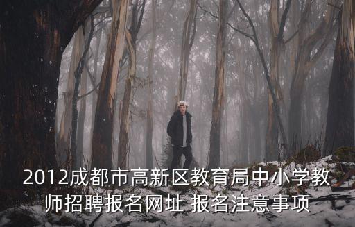 2012成都市高新區教育局中小學教師招聘報名網址 報名注意事項