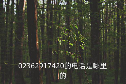 02362917420的電話是哪里的