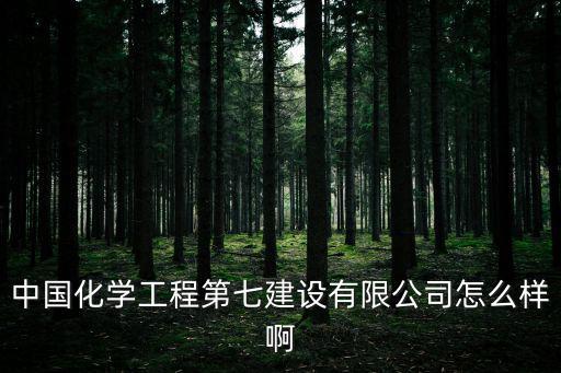 中國化學工程第七建設有限公司怎么樣啊
