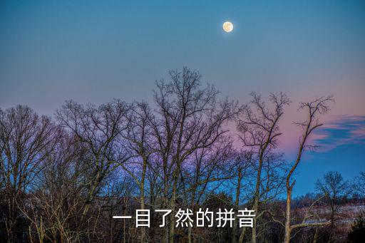  一目了然的拼音