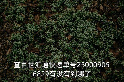 查百世匯通快遞單號(hào)250009056829有沒(méi)有到哪了
