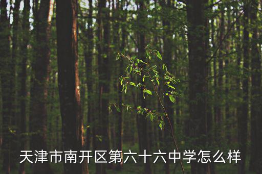 天津市南開區第六十六中學怎么樣