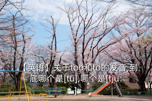 【英語】關(guān)于too和to的發(fā)音,到底哪個(gè)是[tu],哪個(gè)是[tju:]