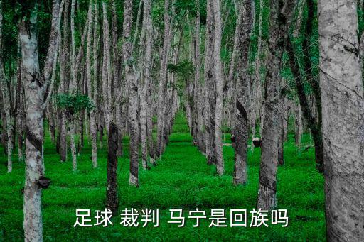 裁判馬寧,馬寧馬寧隨國安橫掃阿根廷為何被稱金哨?