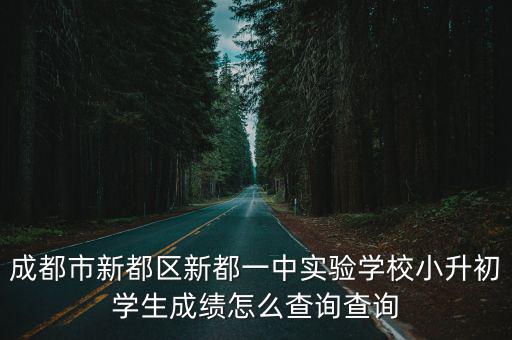 成都市新都區新都一中實驗學校小升初學生成績怎么查詢查詢