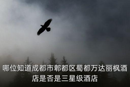 成都市郫都區(qū)楓酒店電話，成都那家的意大利面好吃又不貴