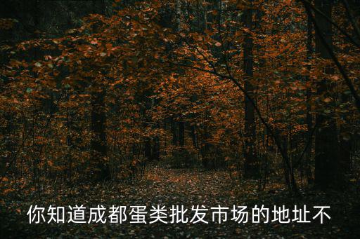 成都市有沒有賣鋼化蛋的，有沒哪個曉得成都蛋類批發市場在哪急