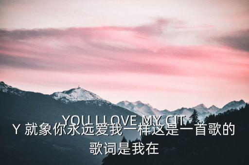 YOU I LOVE MY CITY 就象你永遠愛我一樣這是一首歌的歌詞是我在