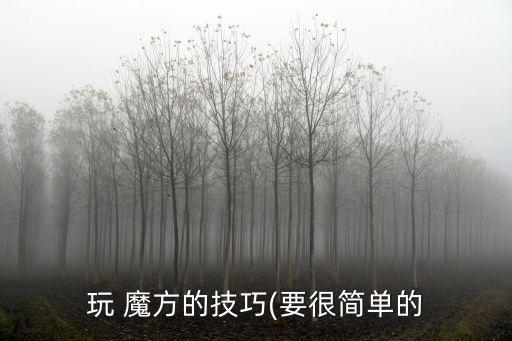 玩 魔方的技巧(要很簡單的