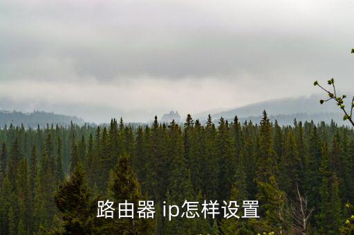  路由器 ip怎樣設置