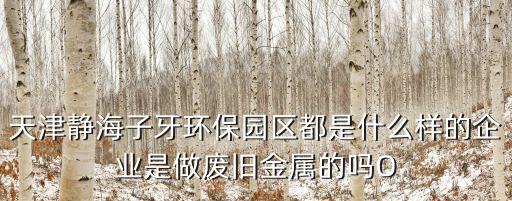 天津市靜海縣天津子牙循環(huán)經(jīng)濟產(chǎn)業(yè)區(qū)，從靜海縣城到子牙環(huán)保產(chǎn)業(yè)園多少公里