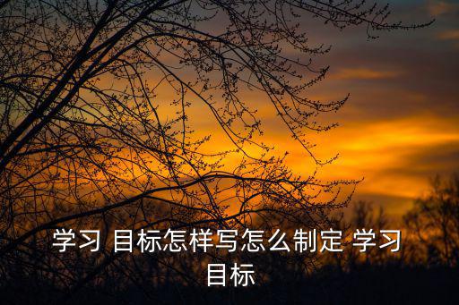  學習 目標怎樣寫怎么制定 學習 目標