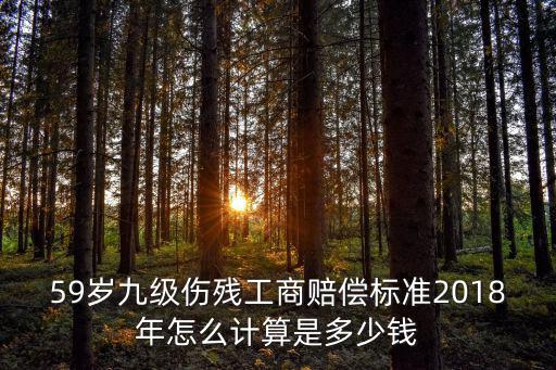 59歲九級傷殘工商賠償標準2018年怎么計算是多少錢