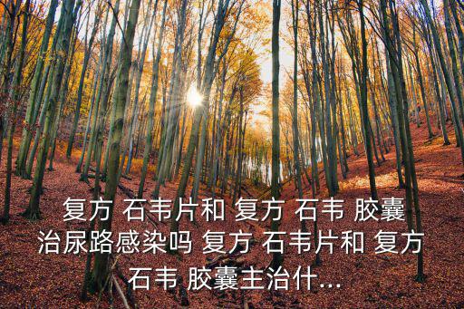  復(fù)方 石韋片和 復(fù)方 石韋 膠囊治尿路感染嗎 復(fù)方 石韋片和 復(fù)方 石韋 膠囊主治什...