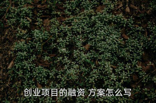 投融資方案,project投融資方案需考慮各方投資比例