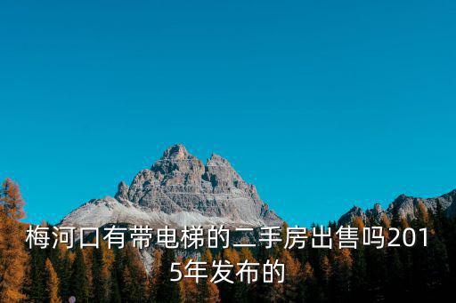 成都市區(qū)帶電梯的二手房出售，成都武侯大道電梯公寓房?jī)r(jià)是多少