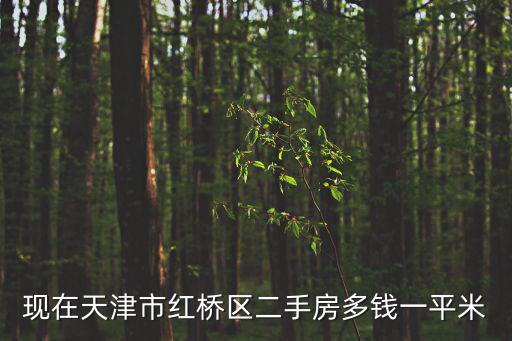 天津市區(qū)二手房價(jià)格多少錢一平方米，天津小海地二手房多少錢一平米