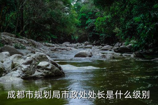 成都市規(guī)劃局市政處處長(zhǎng)是什么級(jí)別