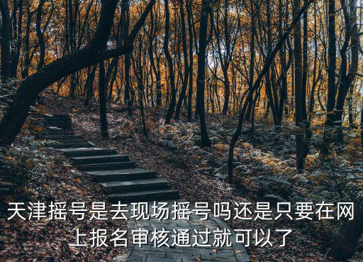 天津搖號是去現場搖號嗎還是只要在網上報名審核通過就可以了