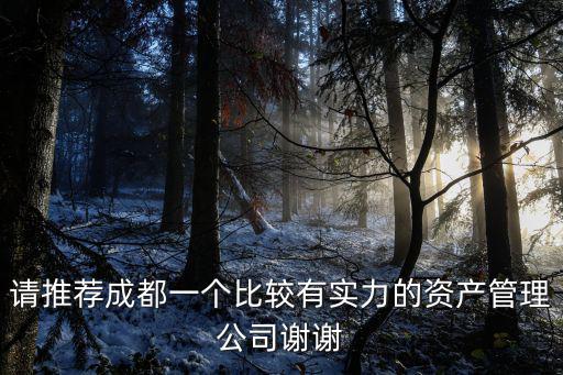 請推薦成都一個比較有實力的資產管理公司謝謝