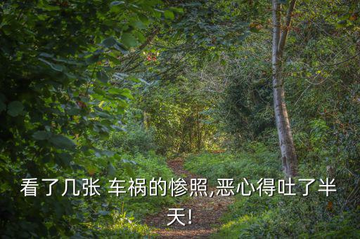 車禍現場圖片,網傳小沈陽車禍現場照片警方證實與事故沒關系