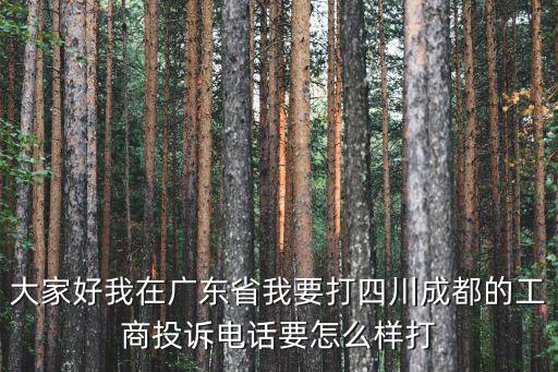 大家好我在廣東省我要打四川成都的工商投訴電話要怎么樣打