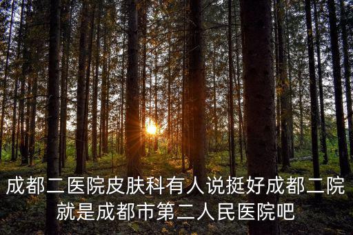 成都市二醫(yī)院皮膚科陳，成都市第二人民醫(yī)院 皮膚科