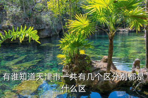 有誰知道天津市一共有幾個區(qū)分別都是什么區(qū)