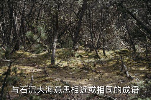 與石沉大海意思相近或相同的成語