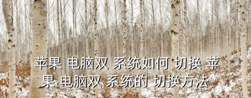  蘋果 電腦雙 系統(tǒng)如何 切換 蘋果 電腦雙 系統(tǒng)的 切換方法
